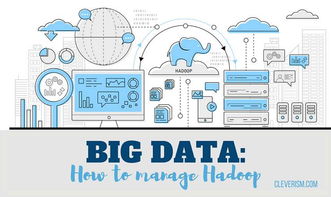 數(shù)據(jù)賦能醫(yī)療 Hadoop大數(shù)據(jù)如何重塑患者護理與數(shù)據(jù)交易服務